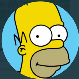 HOMER