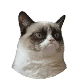 Grumpy Cat token logo