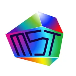 Metaverse System Token token logo