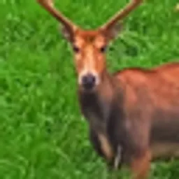 MiLu