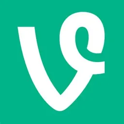 VINEAI