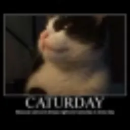 First Cat Meme token logo