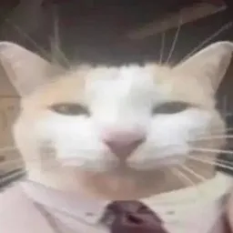 Quant Cat logo