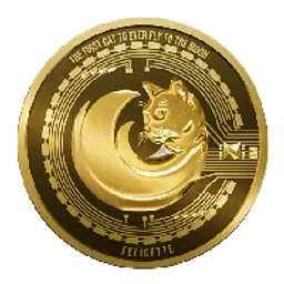 FELICETTE token logo