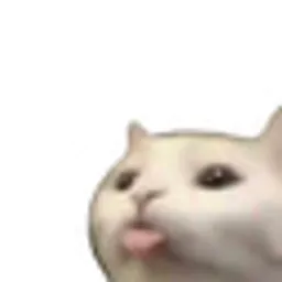 :p