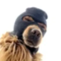 SKI MASK DOG token logo