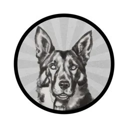 RIN TIN TIN token logo