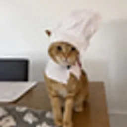 CKCAT