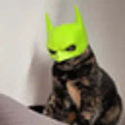 Batcat