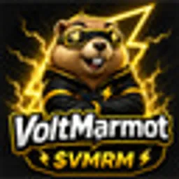 VMRM