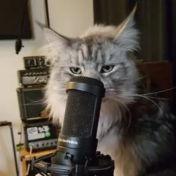 PODCAT