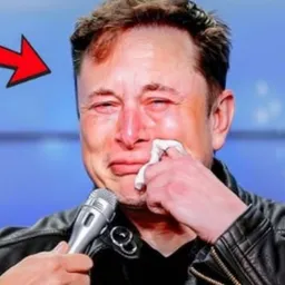 Regret