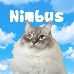 Nimbus token logo