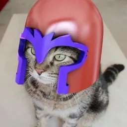 magneto