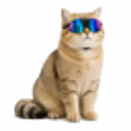 mogcat