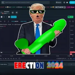 Erection 2024 token logo