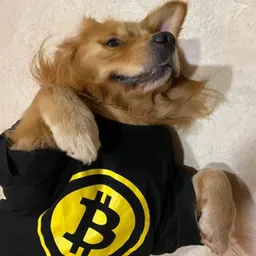 dog called bitcoin token logo