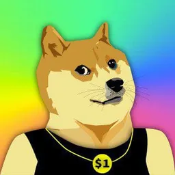 DOGE1$