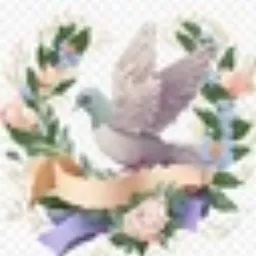 PeaceDove