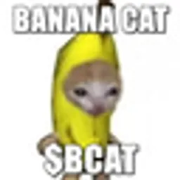bcat