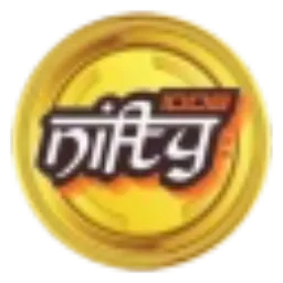 NIFTY1008 token logo