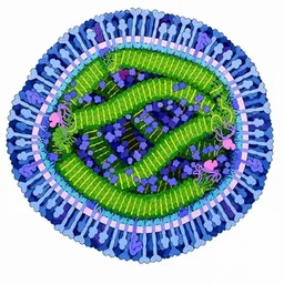 Measles