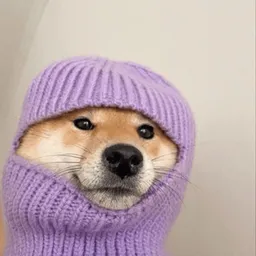 dog wif sheisty logo