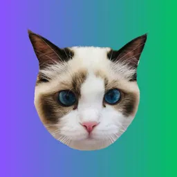 Taylor Swift's Cat token logo